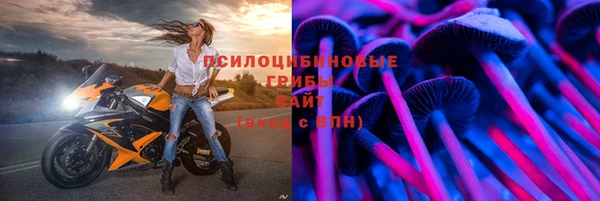 PSILOCYBIN Осинники