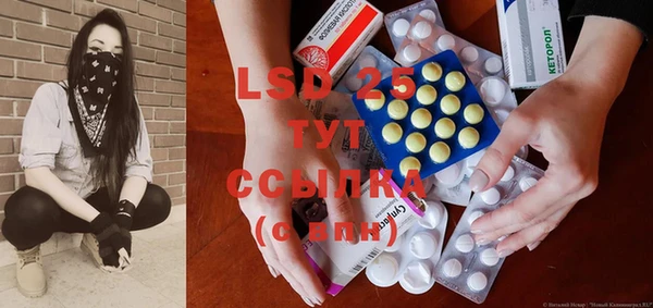 PSILOCYBIN Осинники